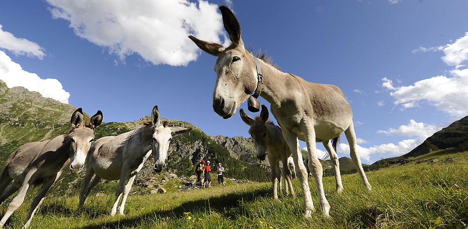 Alpencross Via Migra Dolomiten Transalp