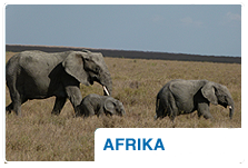 Rundreise Afrika  Teaser