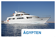Tauchsafaris &Auml;gypten 2011