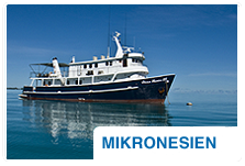 Tauchsafari Mikronesien Teaser