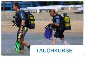 Fragen und Antworten rund um's Thema Tauchkurse
