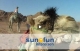 Kiten Intro Ägypten