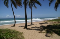 Bahiasurfcamp Salvador da Bahia