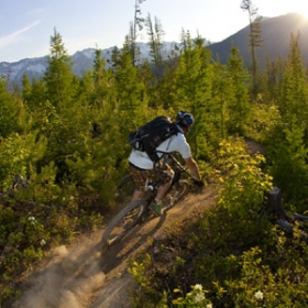 Fernie © Manfred Stromberg