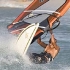 Surfaction Jericoacoara