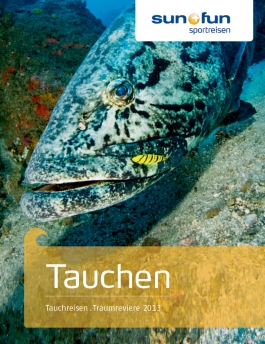 sun+fun Tauchen 2013